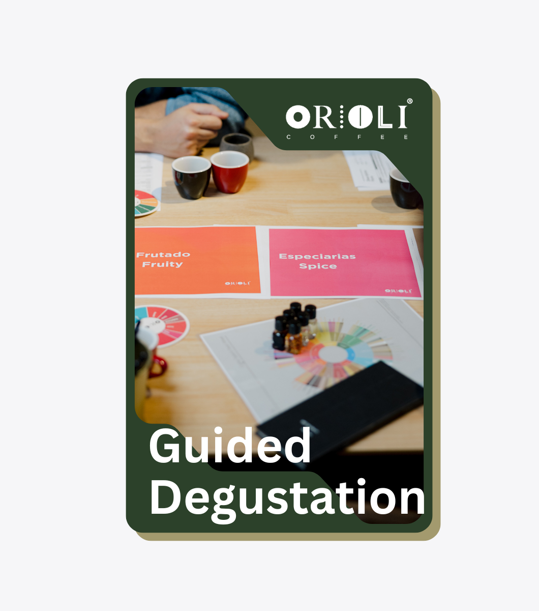 Workshop - Guided Degustation