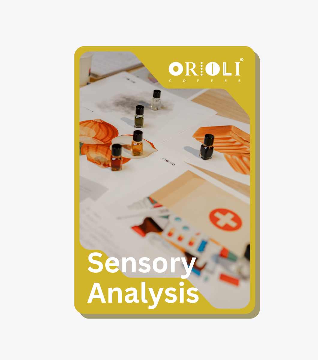 Workshop - Sensory Analysis